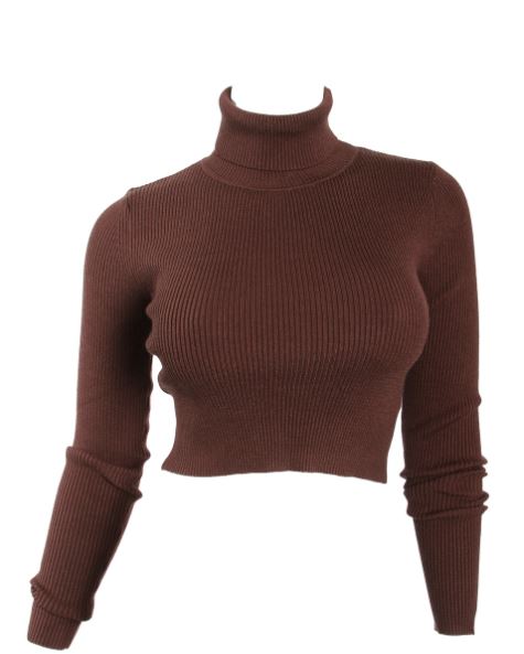 Chocolate Turtle Neck Crop Top