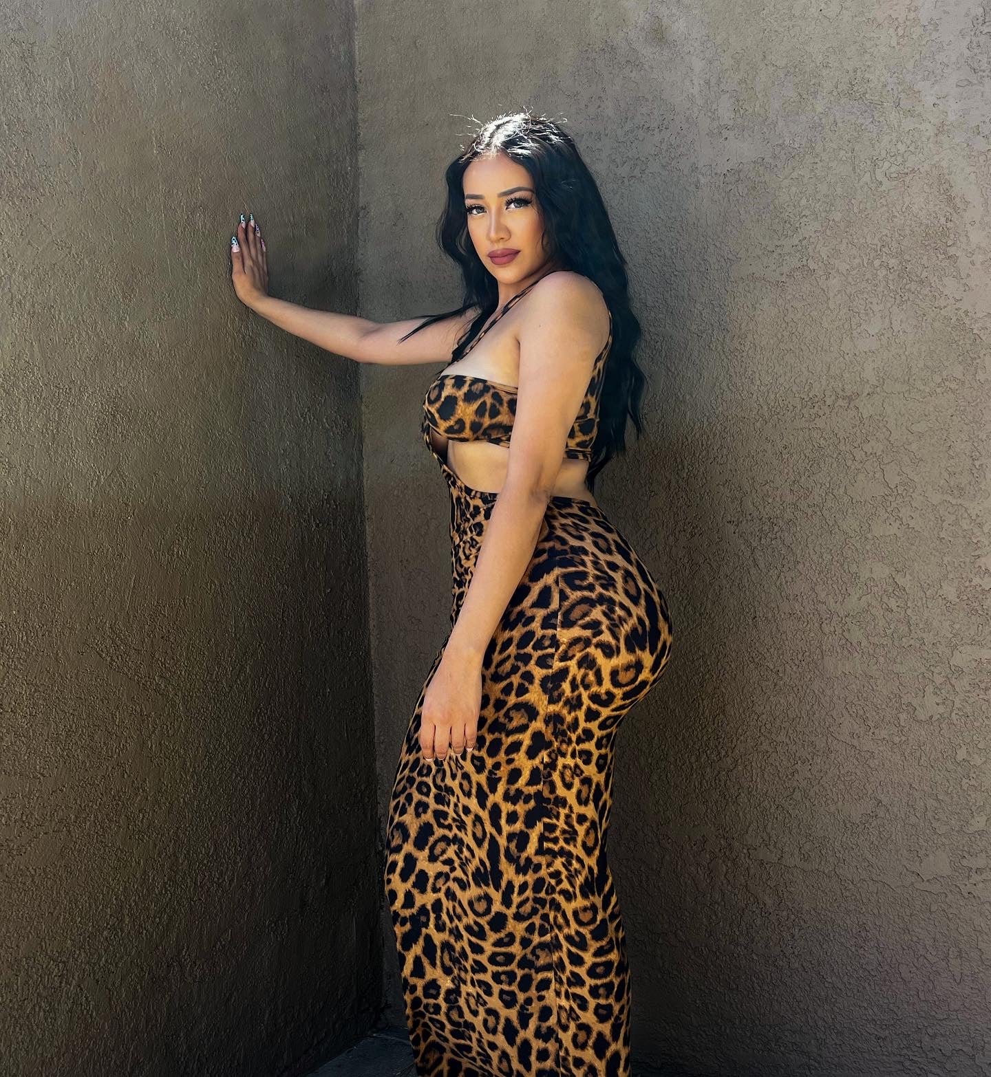 Purrfect Dress